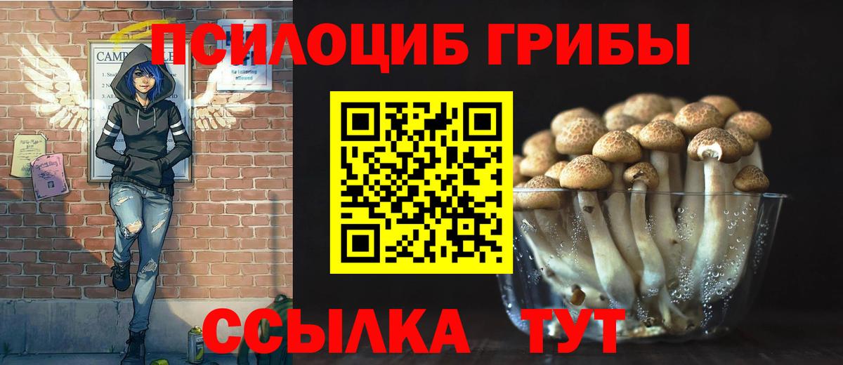 цена   Псилоцибиновые грибы Psilocybine cubensis  Вход с VPN  Гагарин  Галлюциногенные грибы мицелий 